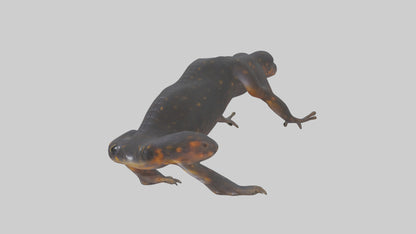 3D model Salamander Legs VR / AR / low-poly