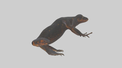3D model Salamander Legs VR / AR / low-poly