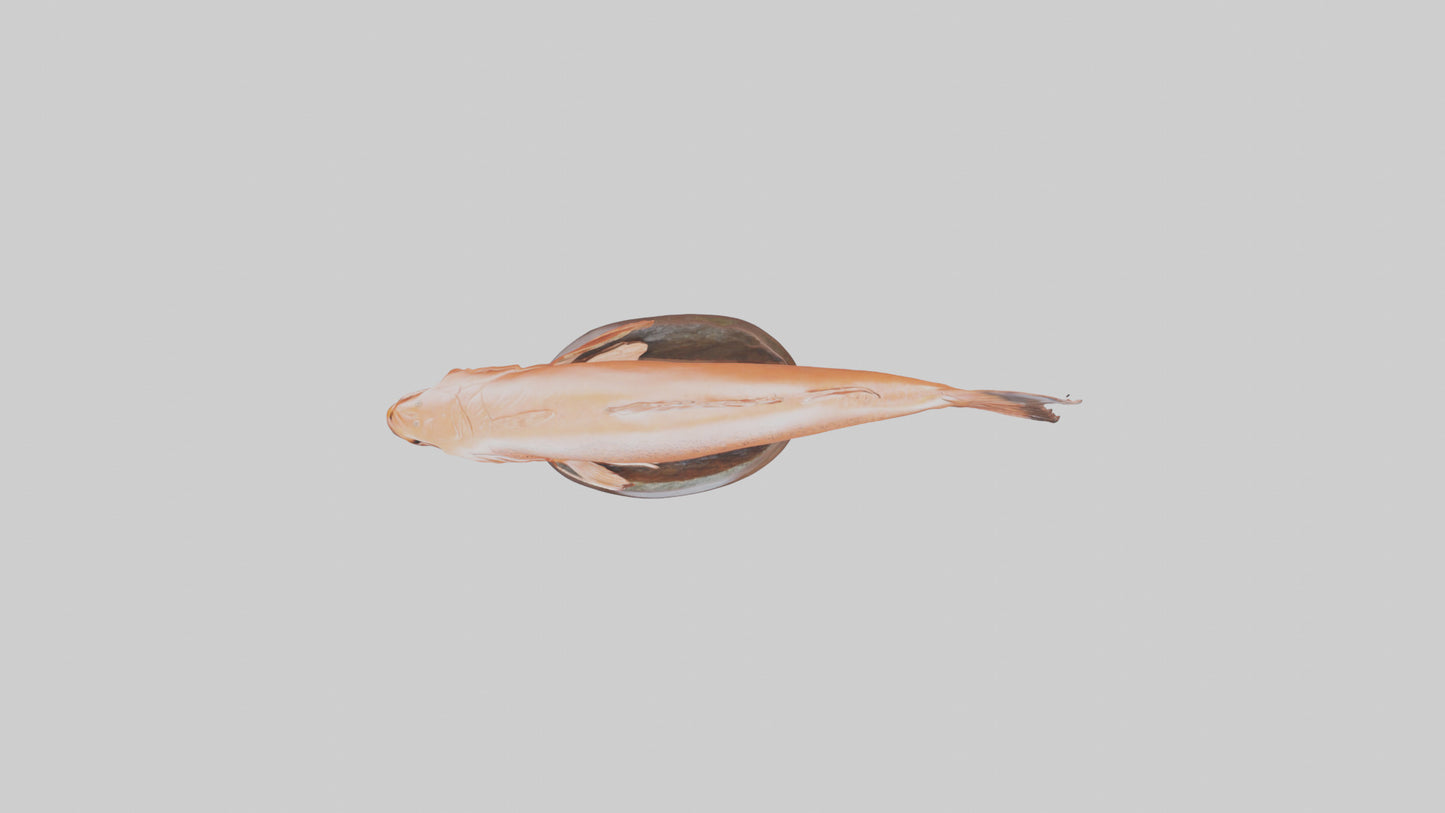 Salmon statue model 3D model