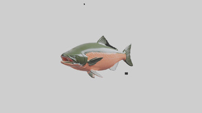 3D model Salmon swimming upstream model VR / AR / low-poly