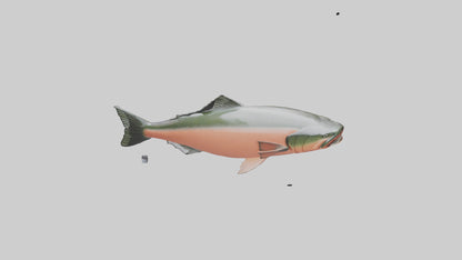 3D model Salmon swimming upstream model VR / AR / low-poly