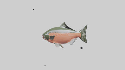 3D model Salmon swimming upstream model VR / AR / low-poly