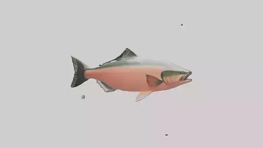 3D model Salmon swimming upstream model VR / AR / low-poly