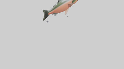 3D model Salmon swimming upstream model VR / AR / low-poly