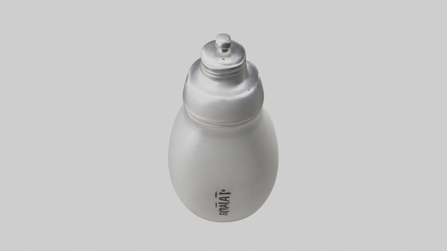 Salt Shaker model 3D model