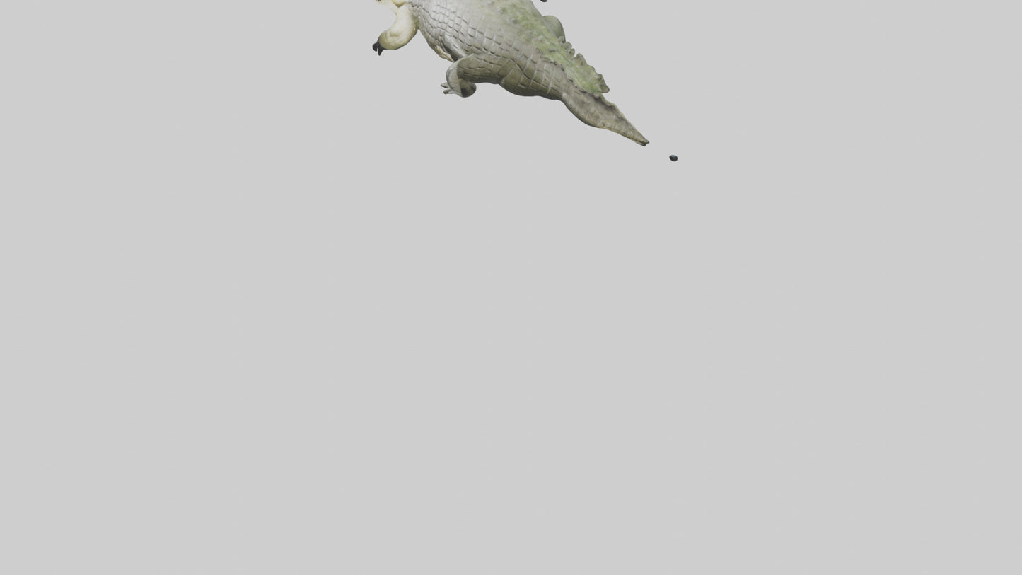 Saltwater Crocodile submerged model VR / AR / low-poly