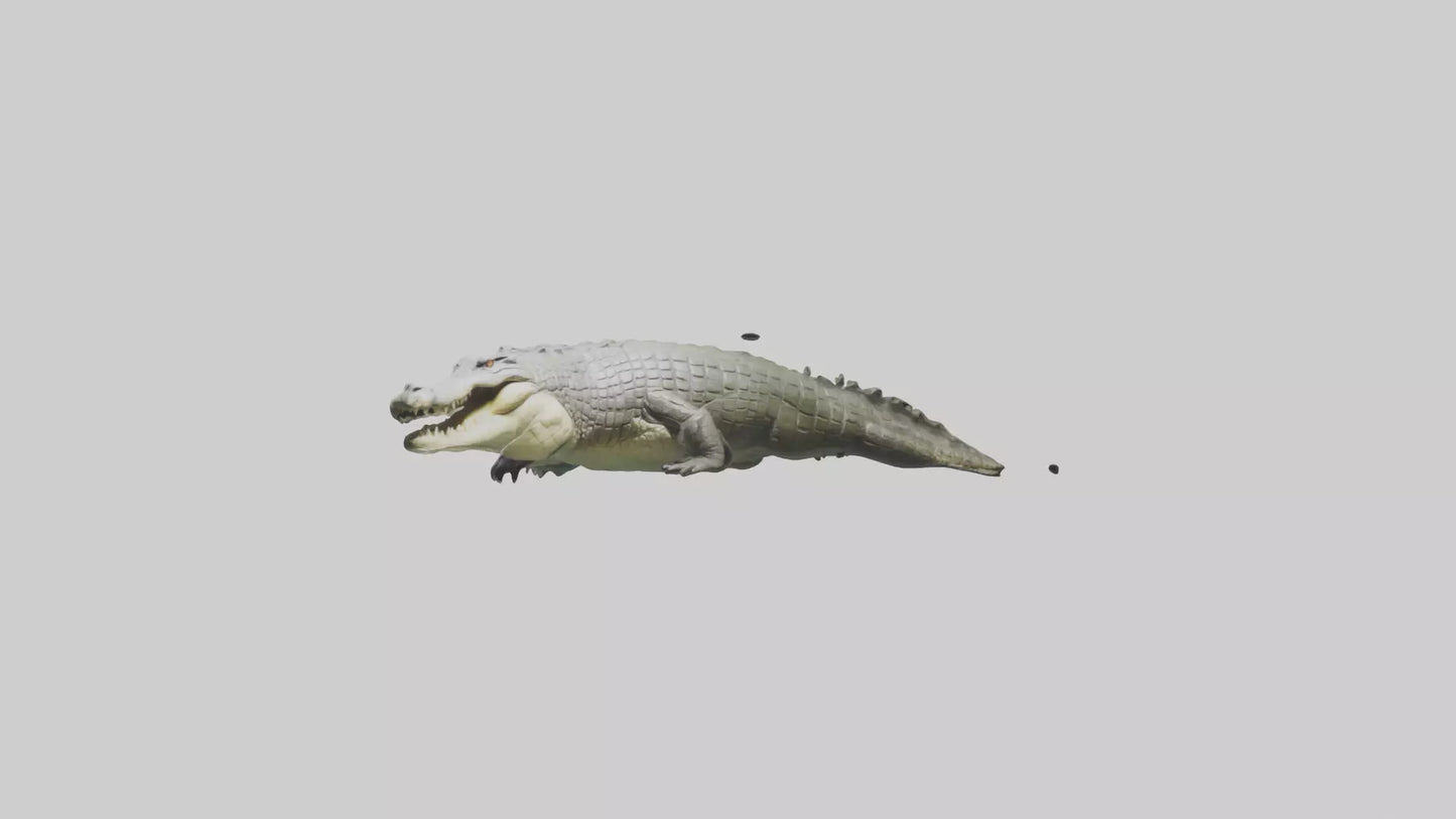 Saltwater Crocodile submerged model VR / AR / low-poly