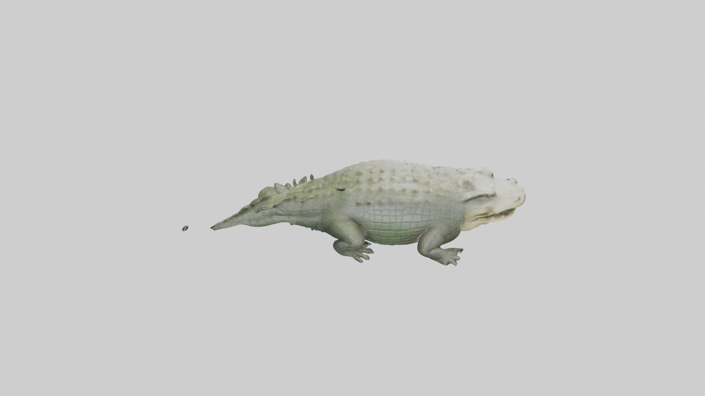 Saltwater Crocodile submerged model VR / AR / low-poly