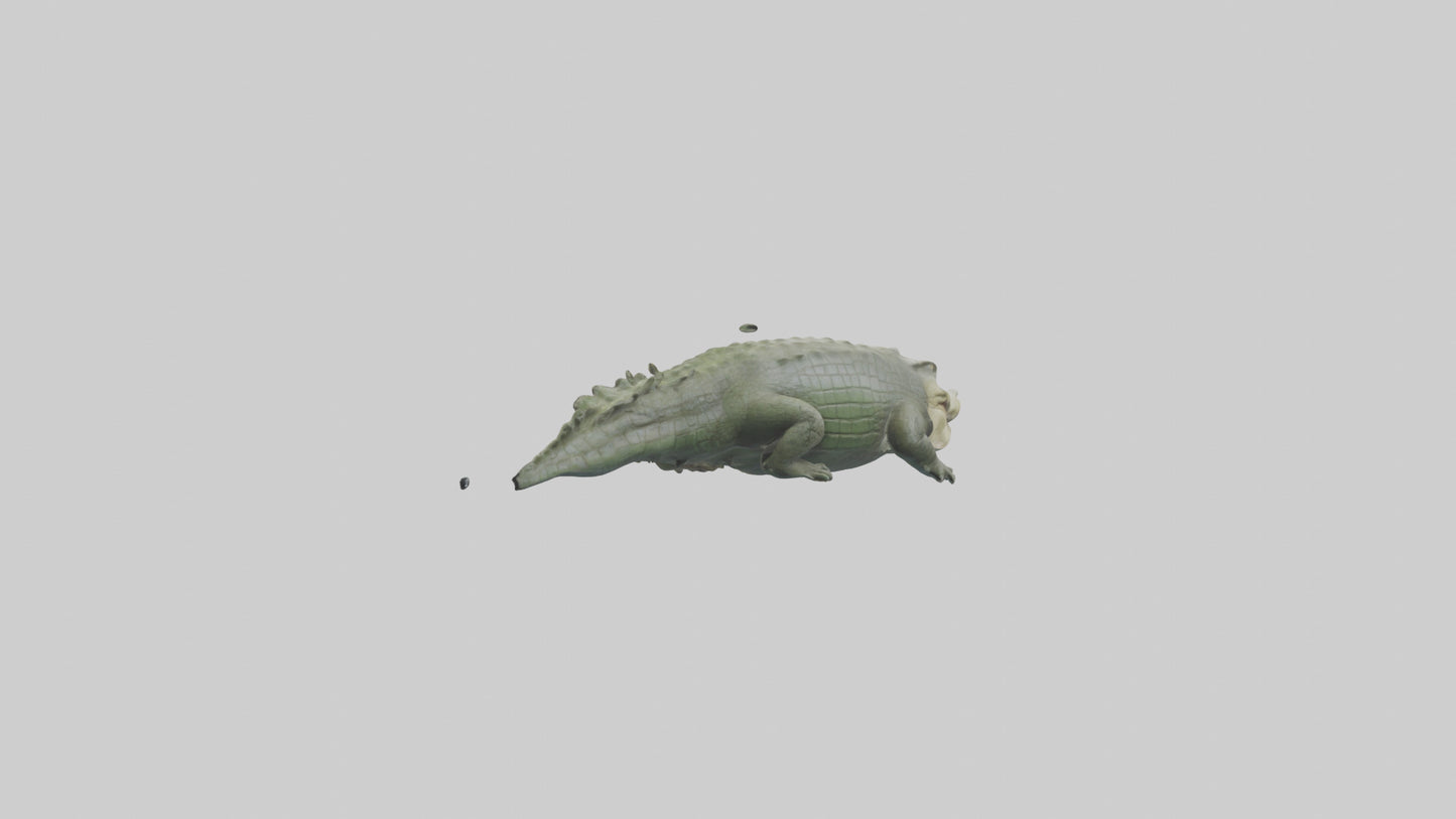 Saltwater Crocodile submerged model VR / AR / low-poly
