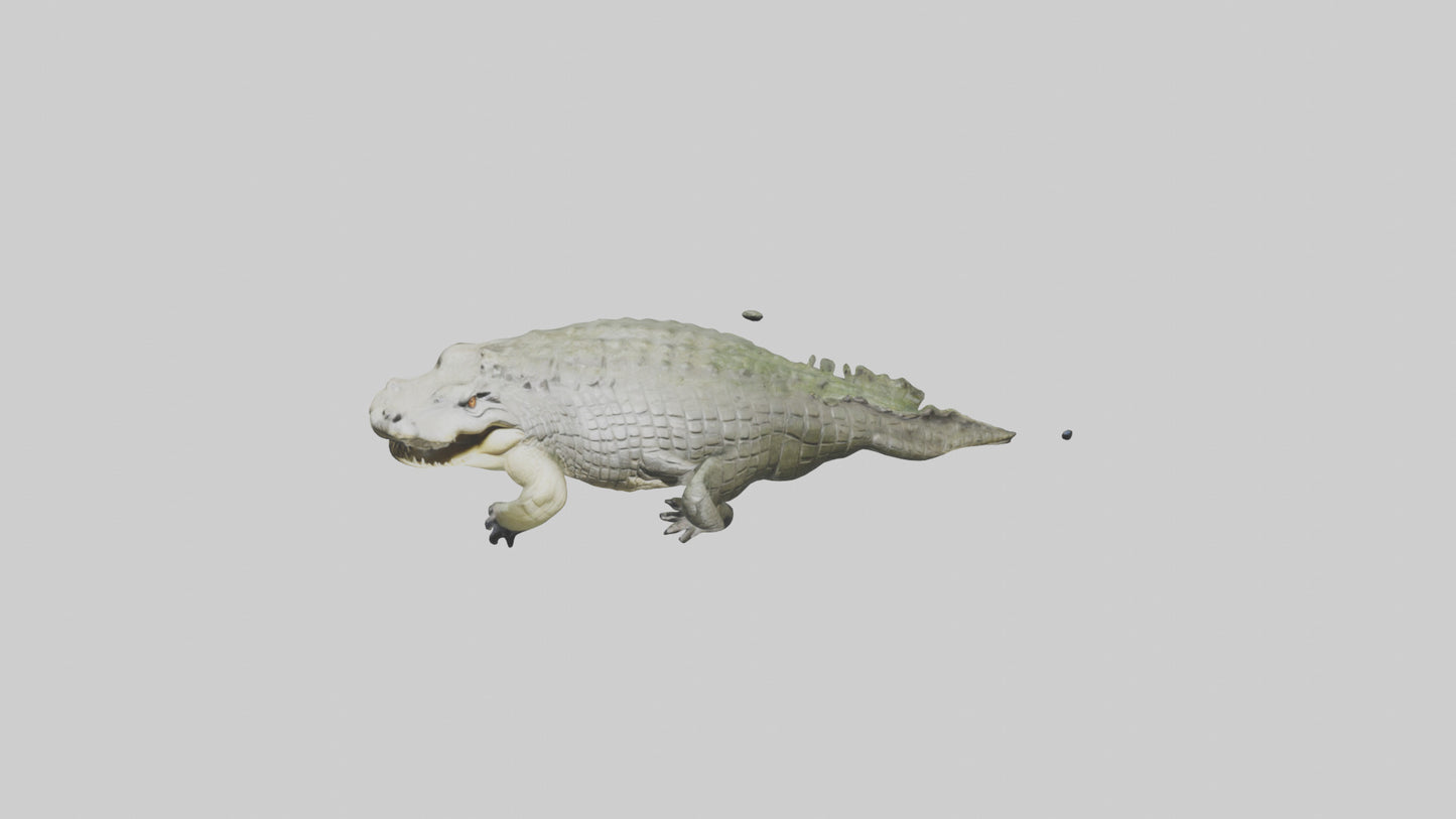 Saltwater Crocodile submerged model VR / AR / low-poly