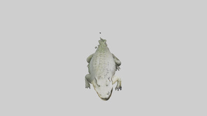 Saltwater Crocodile submerged model VR / AR / low-poly