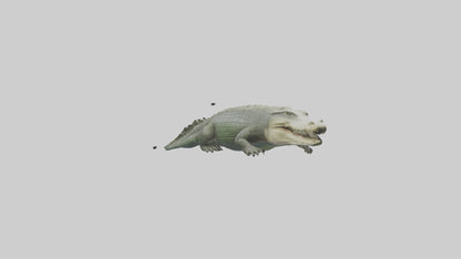 Saltwater Crocodile submerged model VR / AR / low-poly