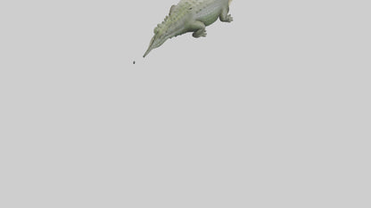 Saltwater Crocodile submerged model VR / AR / low-poly