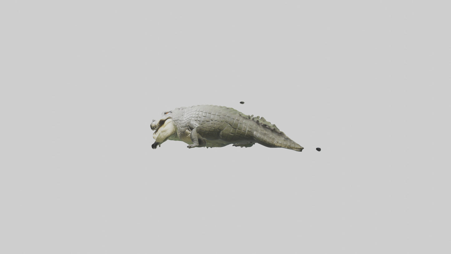 Saltwater Crocodile submerged model VR / AR / low-poly