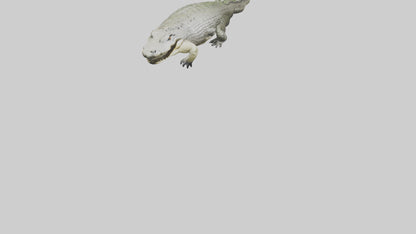 Saltwater Crocodile submerged model VR / AR / low-poly