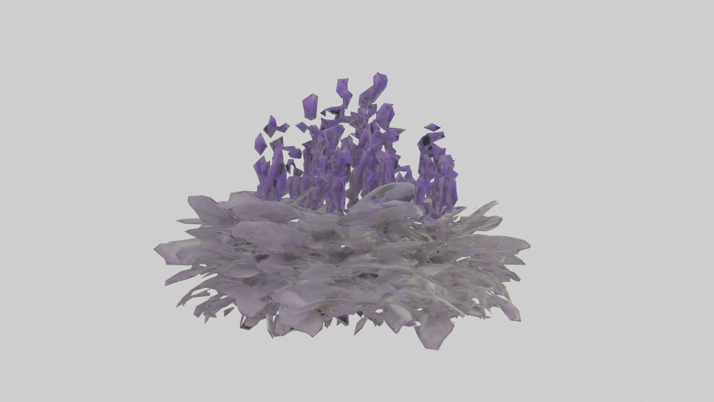 3D model Salvia model VR / AR / low-poly