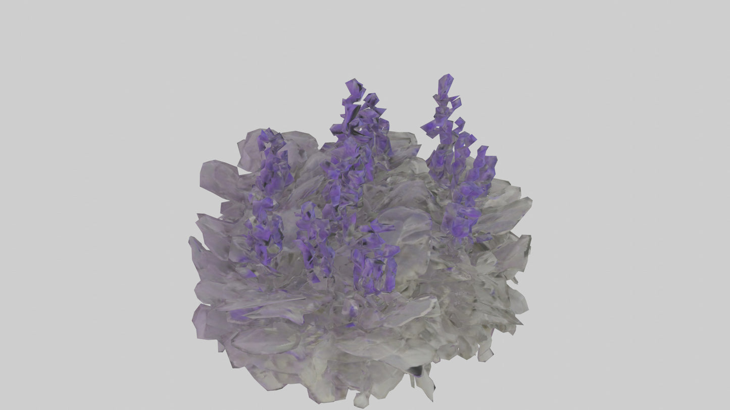 3D model Salvia model VR / AR / low-poly