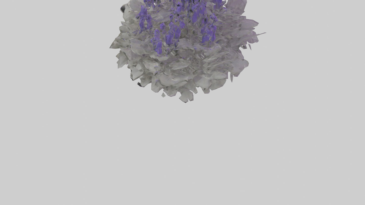 3D model Salvia model VR / AR / low-poly