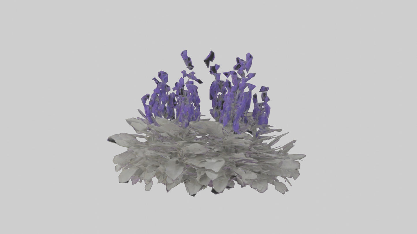 3D model Salvia model VR / AR / low-poly