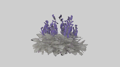 3D model Salvia model VR / AR / low-poly