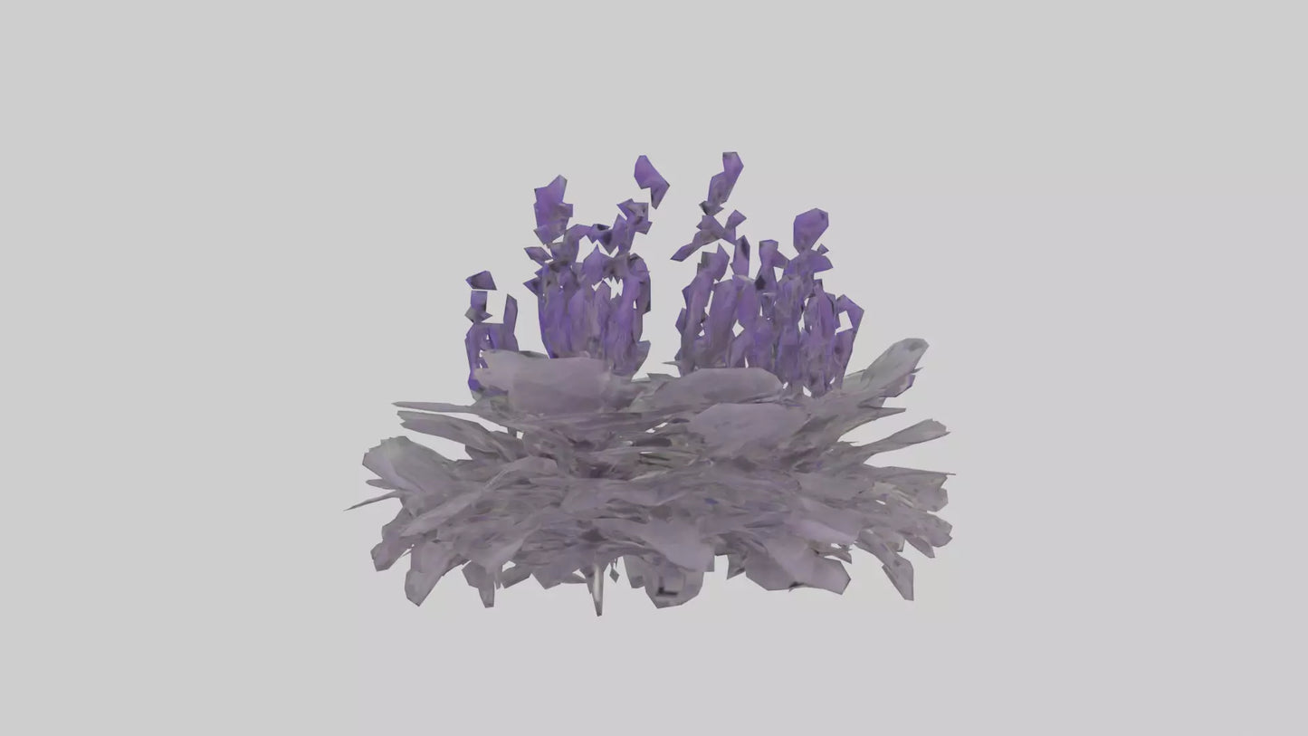 3D model Salvia model VR / AR / low-poly
