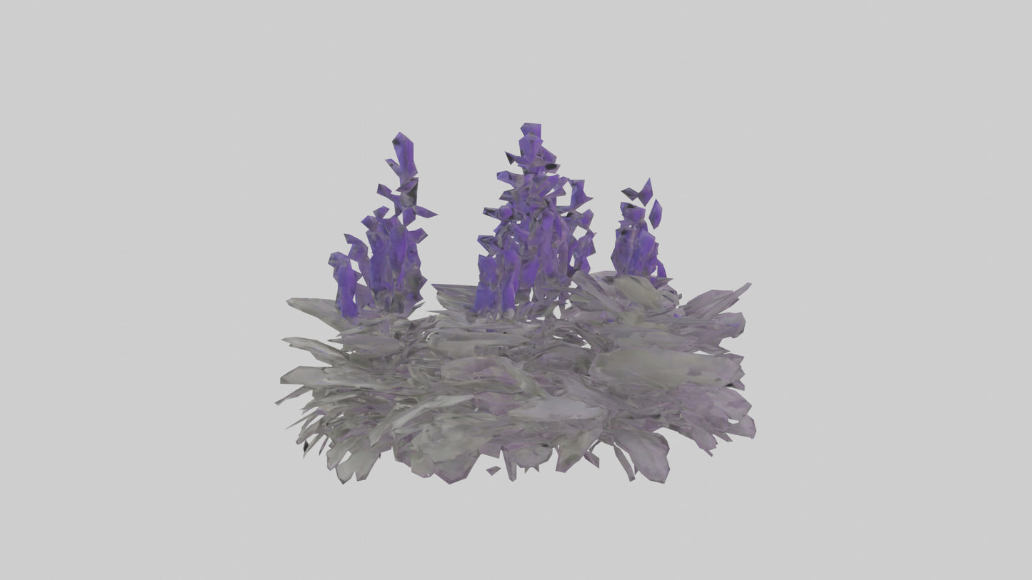3D model Salvia model VR / AR / low-poly