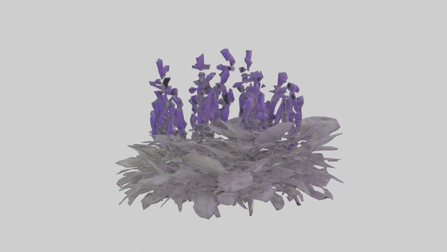 3D model Salvia model VR / AR / low-poly