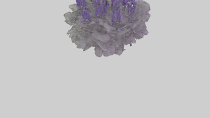 3D model Salvia model VR / AR / low-poly