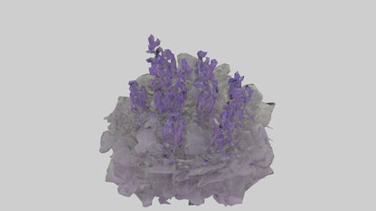 3D model Salvia model VR / AR / low-poly