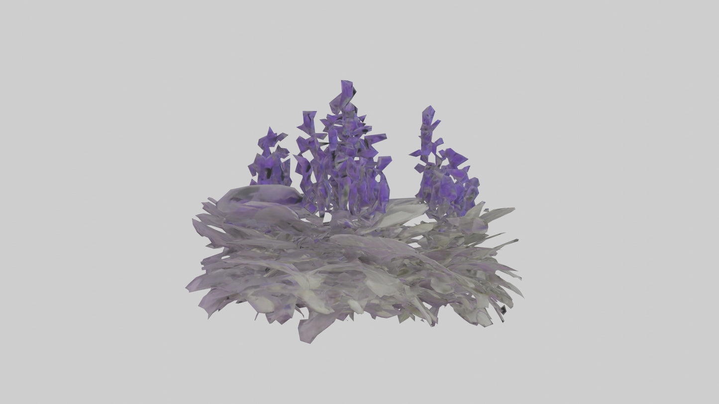 3D model Salvia model VR / AR / low-poly