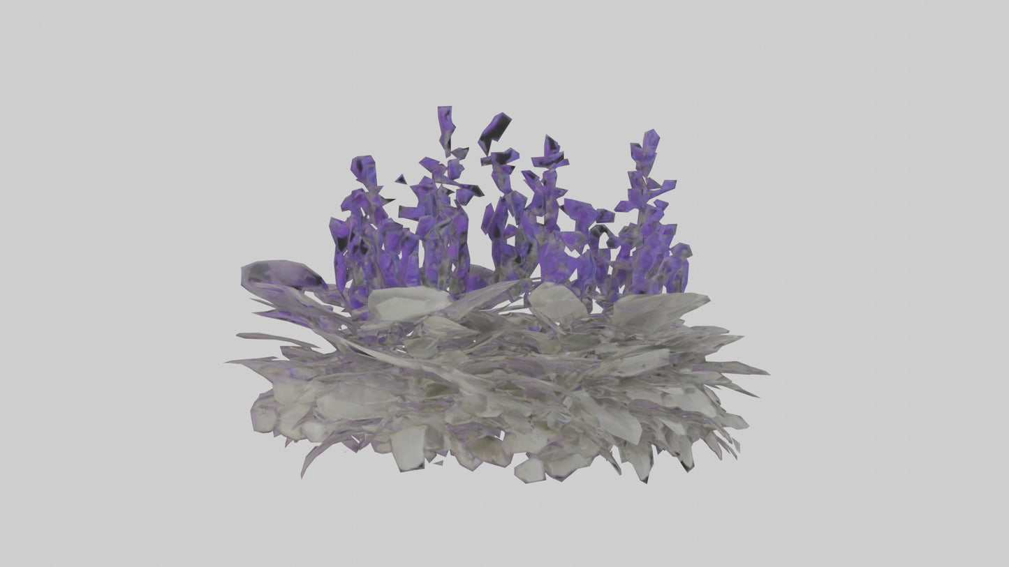 3D model Salvia model VR / AR / low-poly