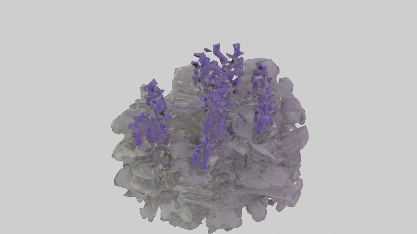 3D model Salvia model VR / AR / low-poly