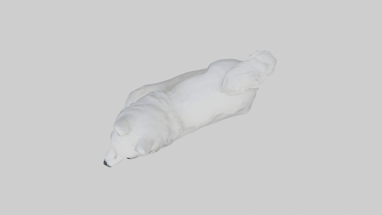 Samoyed statue model 3D model