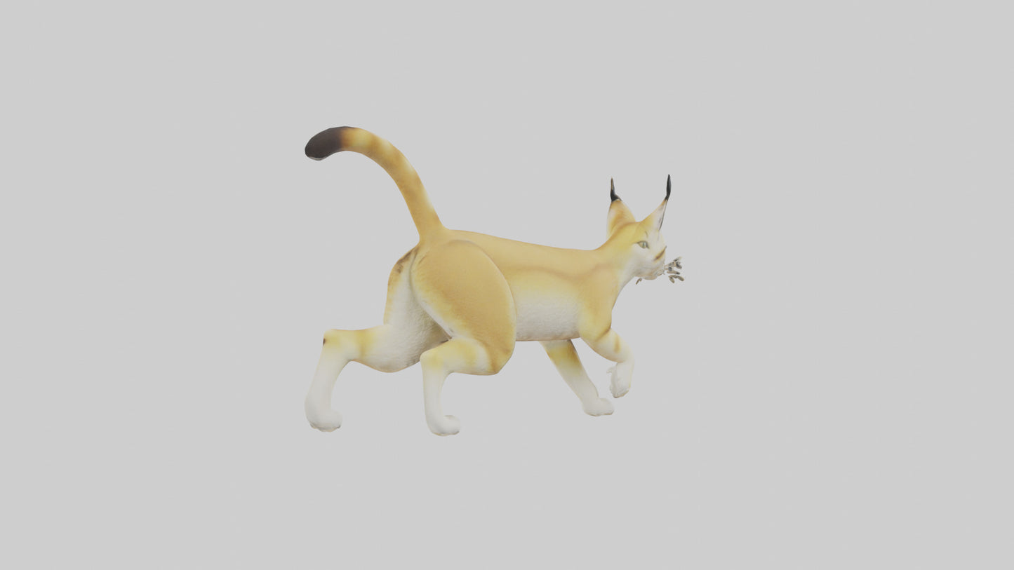 3D model Sand Cat walking on dunes model VR / AR / low-poly