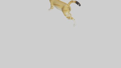 3D model Sand Cat walking on dunes model VR / AR / low-poly