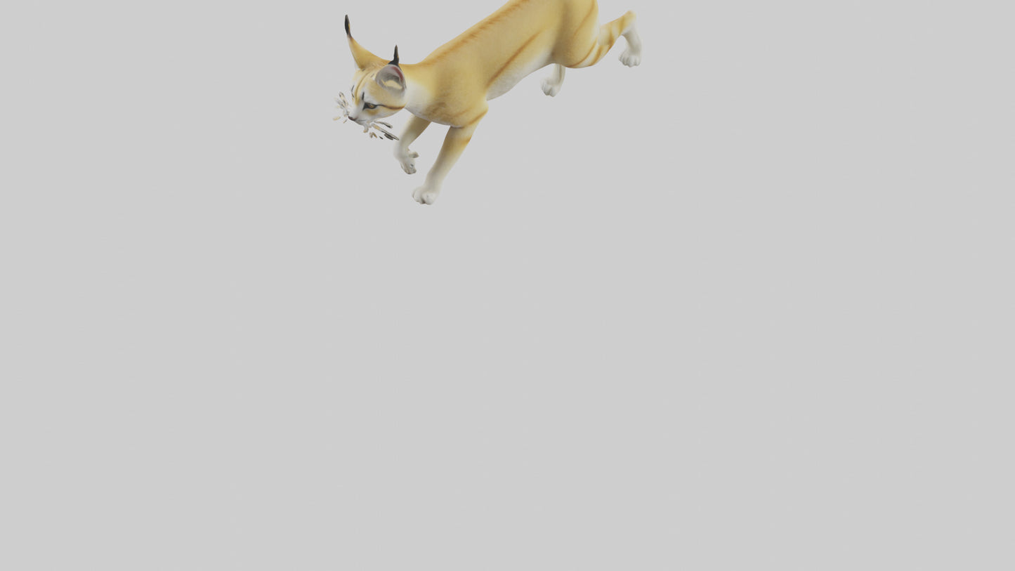 3D model Sand Cat walking on dunes model VR / AR / low-poly