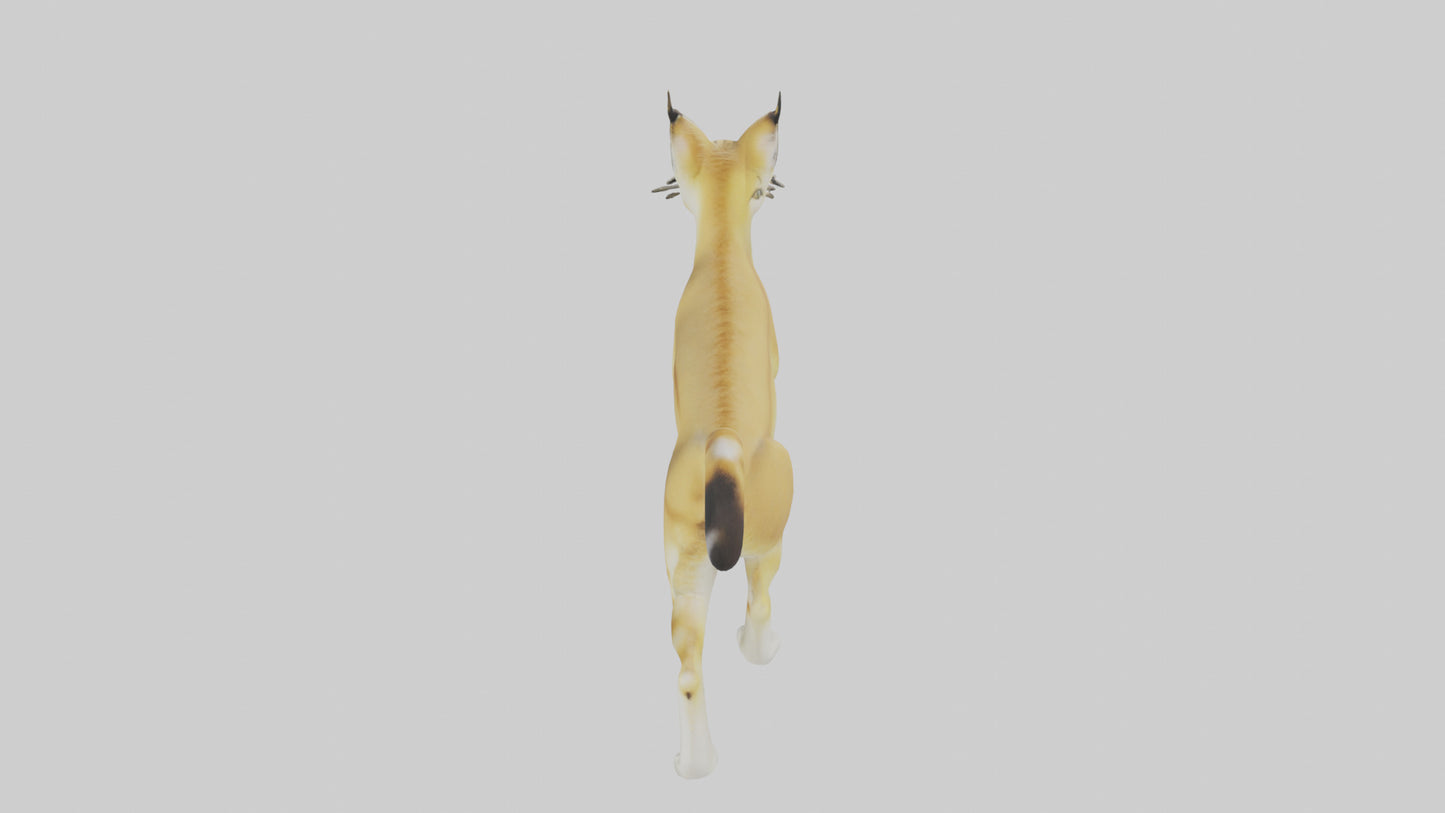 3D model Sand Cat walking on dunes model VR / AR / low-poly