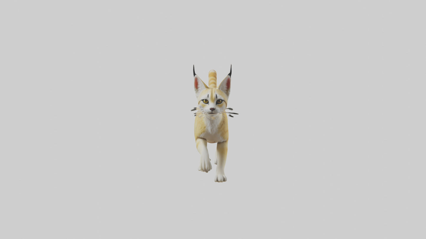 3D model Sand Cat walking on dunes model VR / AR / low-poly