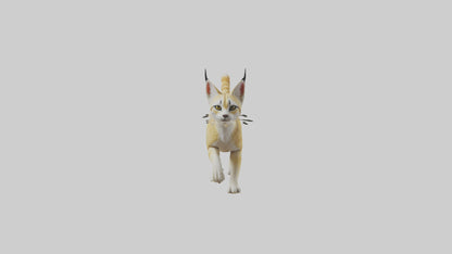 3D model Sand Cat walking on dunes model VR / AR / low-poly