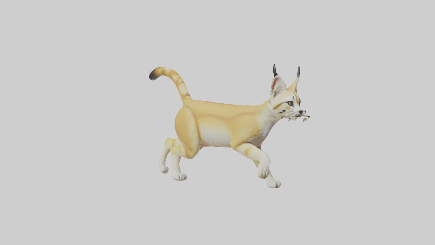 3D model Sand Cat walking on dunes model VR / AR / low-poly