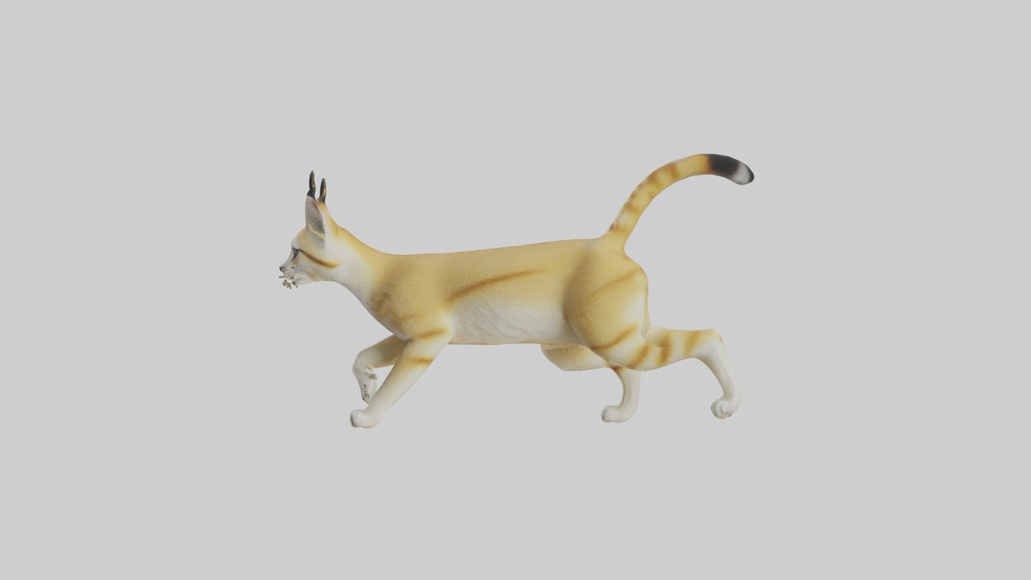 3D model Sand Cat walking on dunes model VR / AR / low-poly