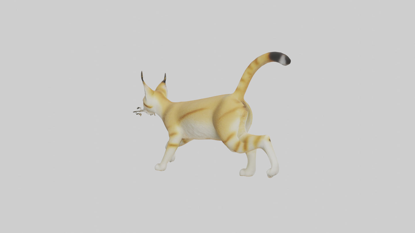 3D model Sand Cat walking on dunes model VR / AR / low-poly