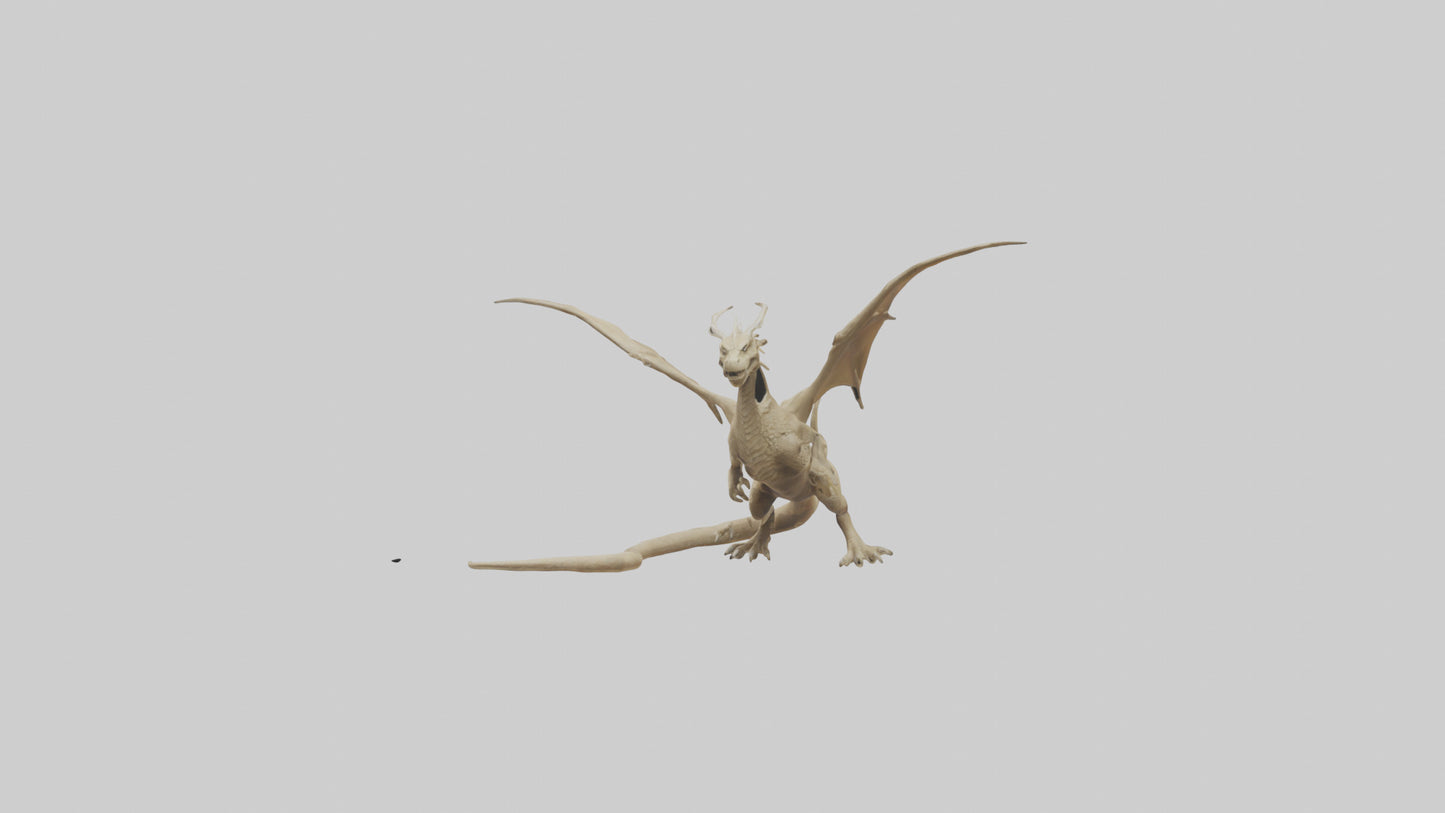 Sand Dragon model 3D model