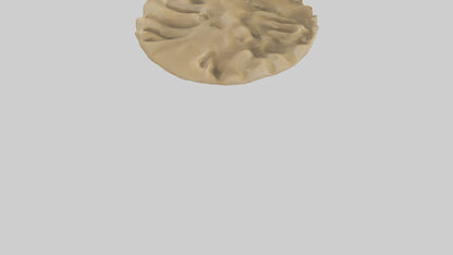 Sand Dunes model 3D model