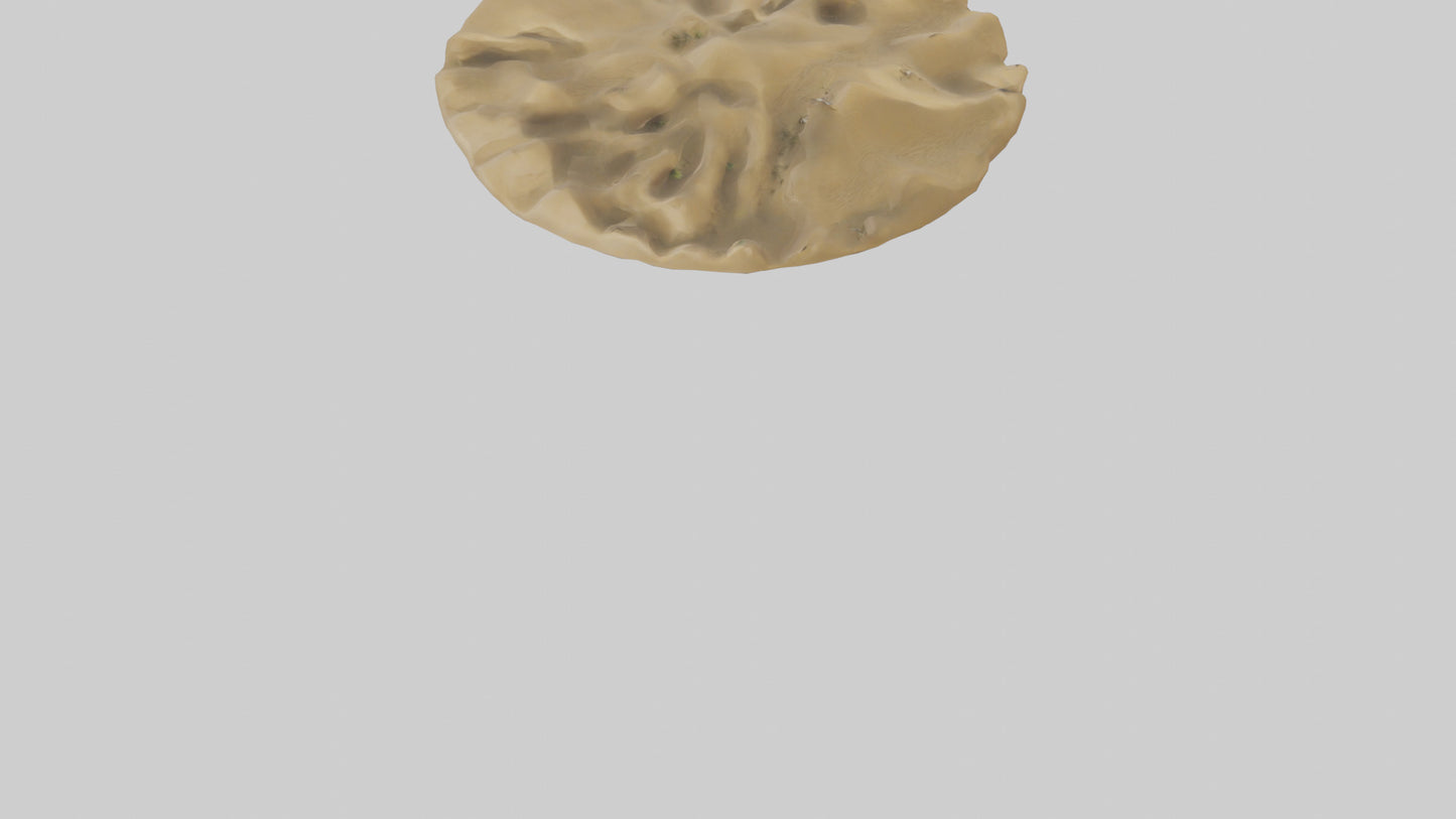 Sand Dunes model 3D model