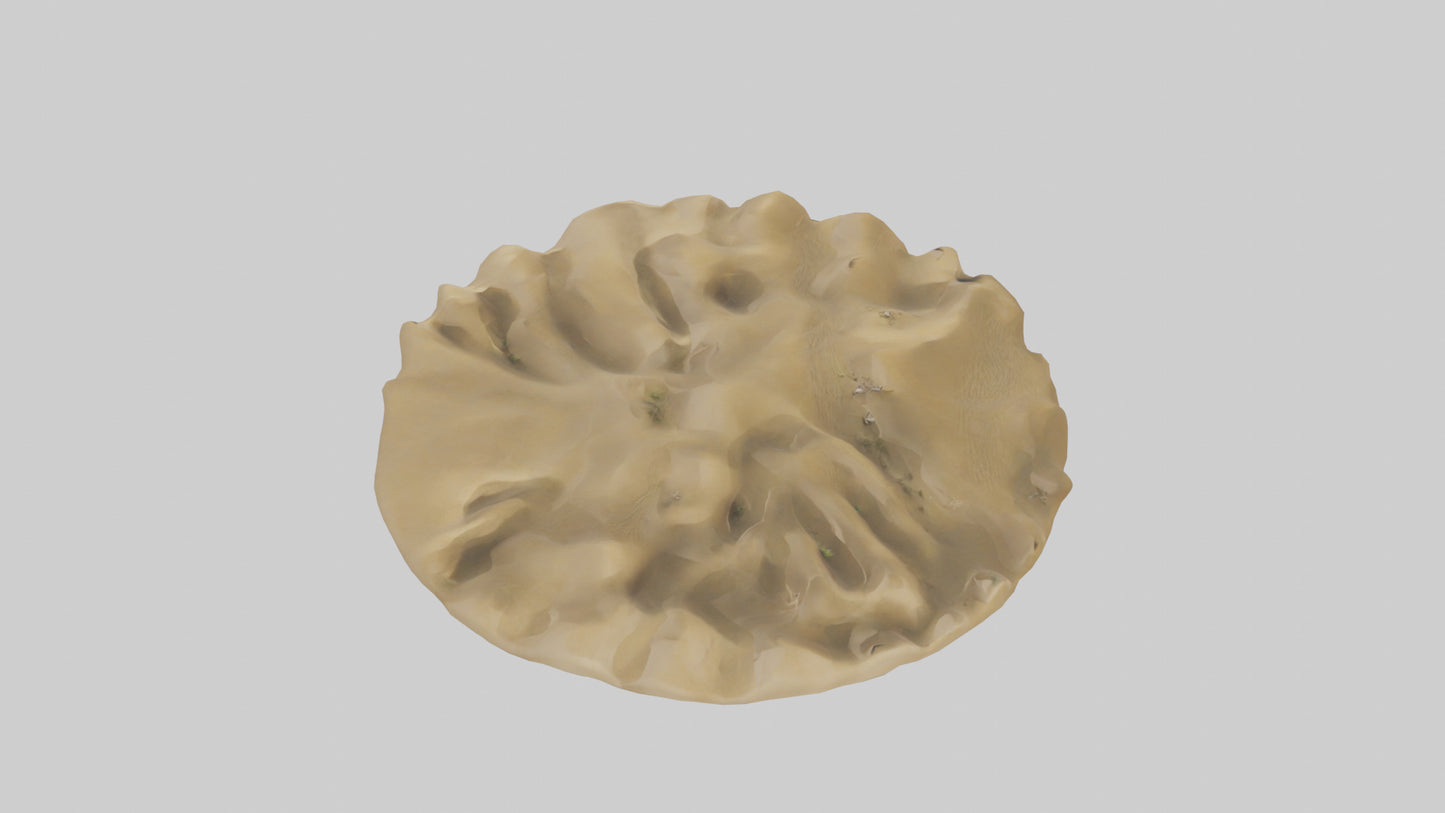 Sand Dunes model 3D model