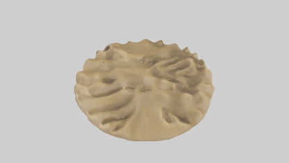 Sand Dunes model 3D model