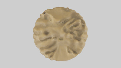 Sand Dunes model 3D model