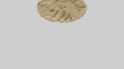 Sand Dunes model 3D model