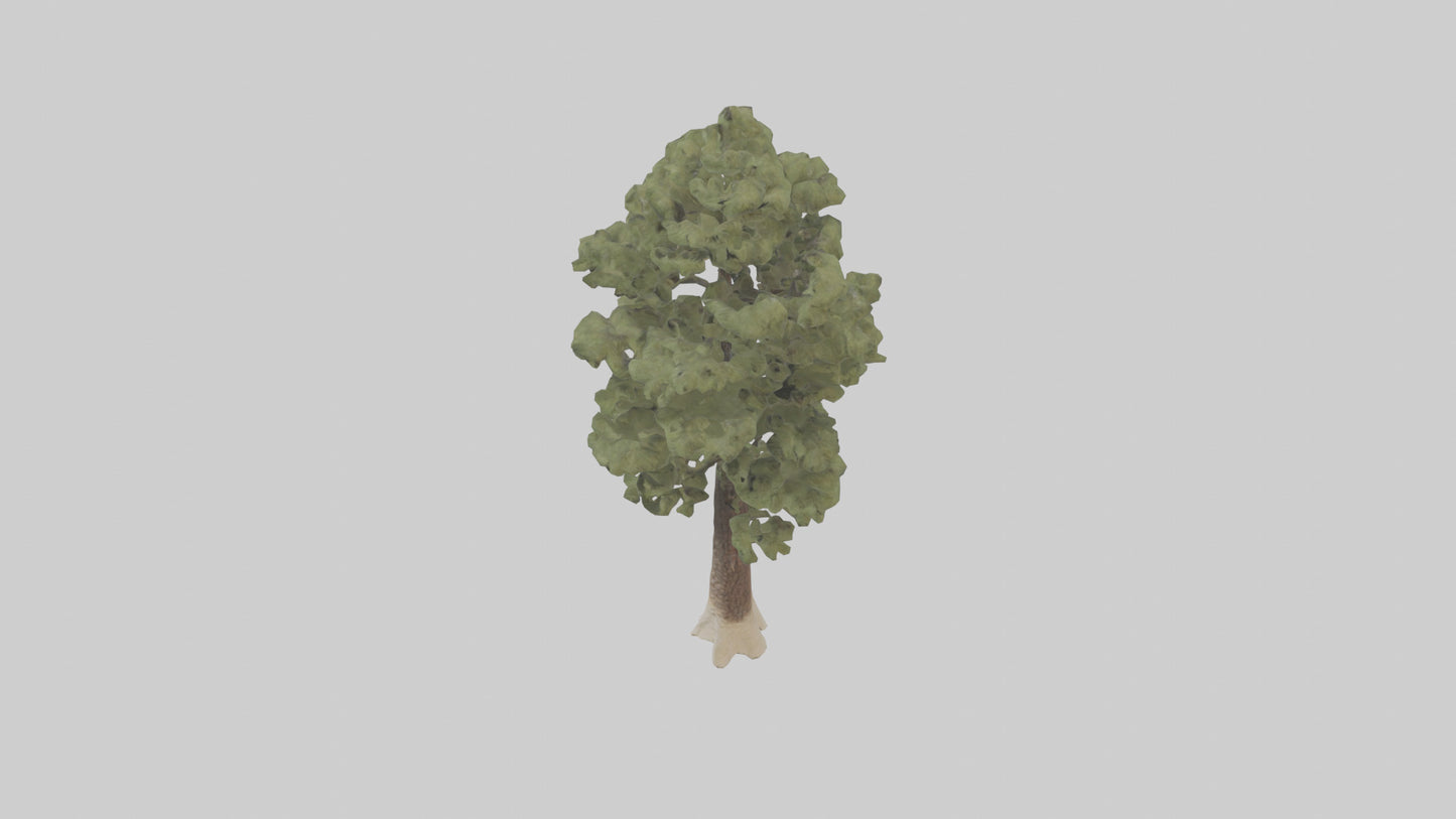 3D model Sand Pine tree model VR / AR / low-poly